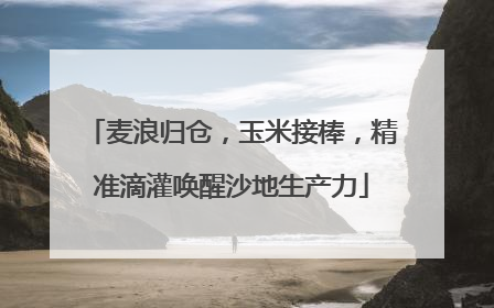 麦浪归仓，玉米接棒，精准滴灌唤醒沙地生产力