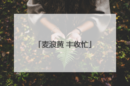 麦浪黄 丰收忙