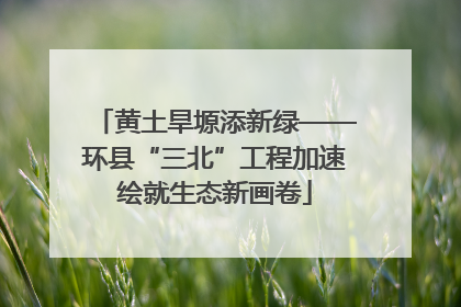 黄土旱塬添新绿——环县“三北”工程加速绘就生态新画卷