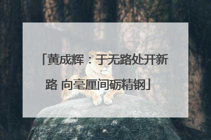 黄成辉：于无路处开新路 向毫厘间砺精钢