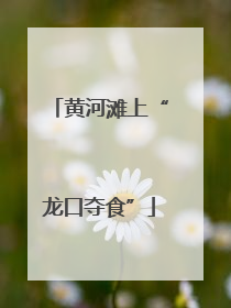 黄河滩上“龙口夺食”