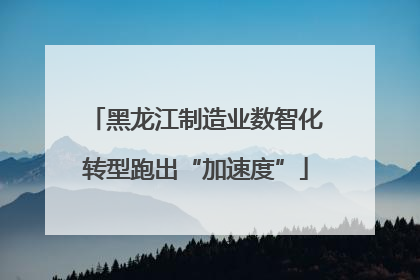黑龙江制造业数智化转型跑出“加速度”