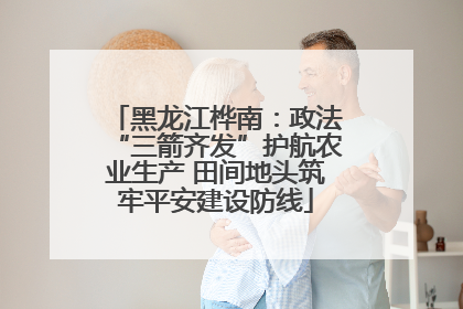 黑龙江桦南：政法“三箭齐发”护航农业生产 田间地头筑牢平安建设防线