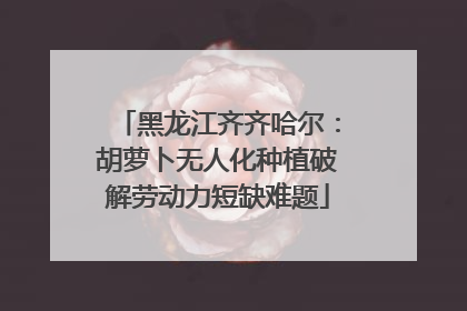 黑龙江齐齐哈尔：胡萝卜无人化种植破解劳动力短缺难题