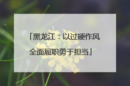 黑龙江：以过硬作风全面履职勇于担当