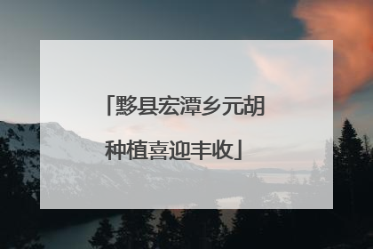 黟县宏潭乡元胡种植喜迎丰收