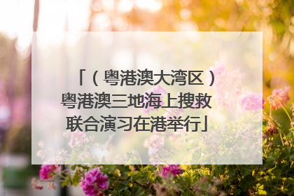 （粤港澳大湾区）粤港澳三地海上搜救联合演习在港举行