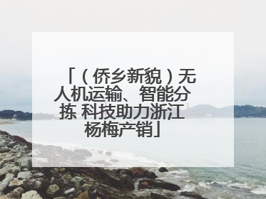 （侨乡新貌）无人机运输、智能分拣 科技助力浙江杨梅产销