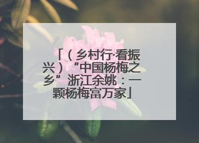 （乡村行·看振兴）“中国杨梅之乡”浙江余姚：一颗杨梅富万家