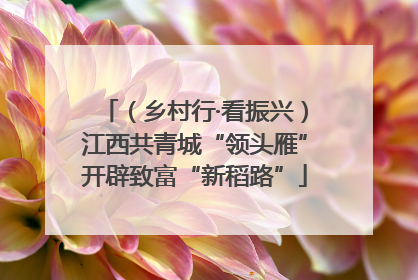 （乡村行·看振兴）江西共青城“领头雁”开辟致富“新稻路”