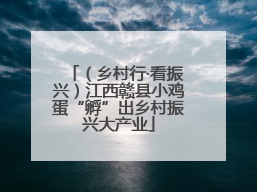 （乡村行·看振兴）江西赣县小鸡蛋“孵”出乡村振兴大产业
