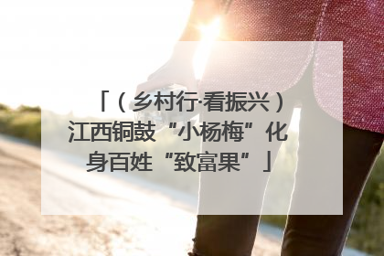 （乡村行·看振兴）江西铜鼓“小杨梅”化身百姓“致富果”