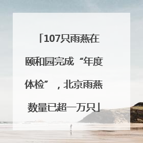 107只雨燕在颐和园完成“年度体检”，北京雨燕数量已超一万只