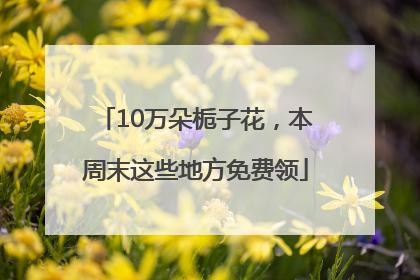 10万朵栀子花，本周末这些地方免费领