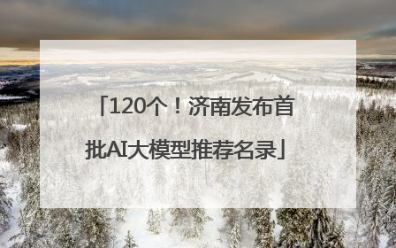 120个！济南发布首批AI大模型推荐名录