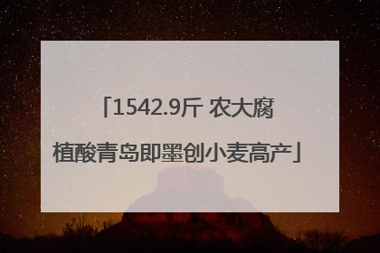 1542.9斤 农大腐植酸青岛即墨创小麦高产