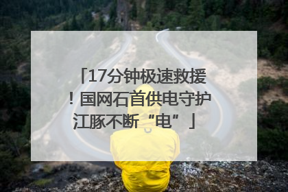 17分钟极速救援！国网石首供电守护江豚不断“电”