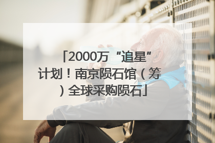 2000万“追星”计划！南京陨石馆（筹）全球采购陨石