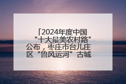2024年度中国“十大最美农村路”公布，枣庄市台儿庄区“鲁风运河”古城文化廊道上榜！