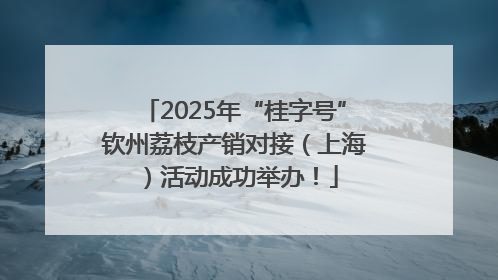 2025年“桂字号”钦州荔枝产销对接（上海）活动成功举办！