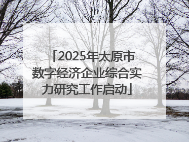 2025年太原市数字经济企业综合实力研究工作启动