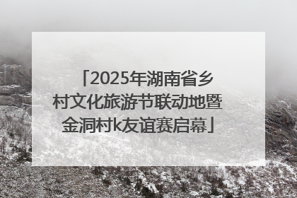 2025年湖南省乡村文化旅游节联动地暨金洞村k友谊赛启幕