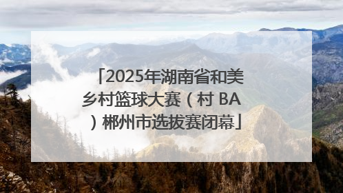 2025年湖南省和美乡村篮球大赛（村 BA）郴州市选拔赛闭幕