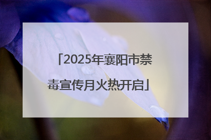 2025年襄阳市禁毒宣传月火热开启