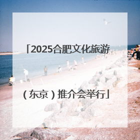 2025合肥文化旅游（东京）推介会举行