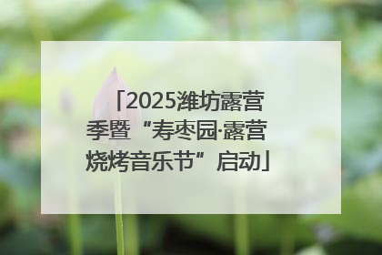 2025潍坊露营季暨“寿枣园·露营烧烤音乐节”启动