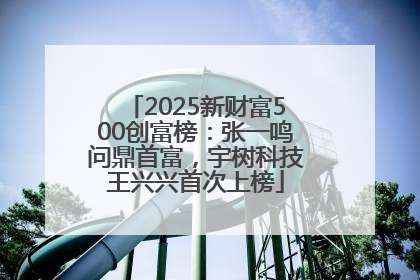 2025新财富500创富榜：张一鸣问鼎首富，宇树科技王兴兴首次上榜