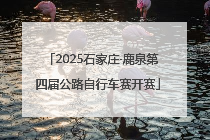 2025石家庄·鹿泉第四届公路自行车赛开赛