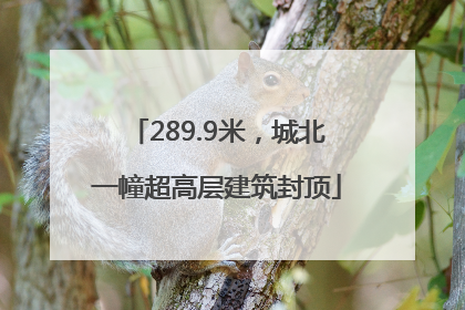 289.9米，城北一幢超高层建筑封顶