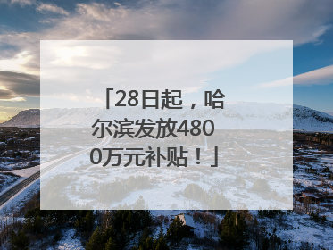 28日起，哈尔滨发放4800万元补贴！