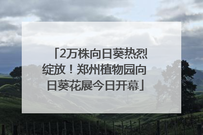 2万株向日葵热烈绽放！郑州植物园向日葵花展今日开幕