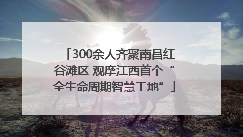 300余人齐聚南昌红谷滩区 观摩江西首个“全生命周期智慧工地”