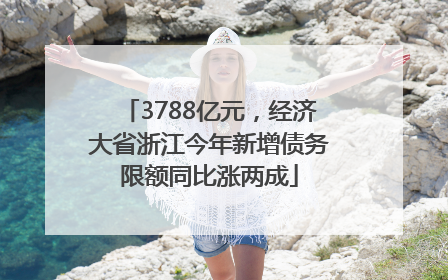 3788亿元，经济大省浙江今年新增债务限额同比涨两成