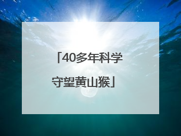 40多年科学守望黄山猴
