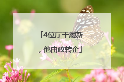 4位厅干履新，他由政转企