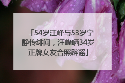 54岁汪峰与53岁宁静传绯闻，汪峰晒34岁正牌女友合照辟谣