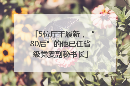 5位厅干履新，“80后”的他已任省级党委副秘书长