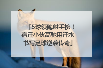 5球领跑射手榜！宿迁小伙高驰用汗水书写足球逆袭传奇