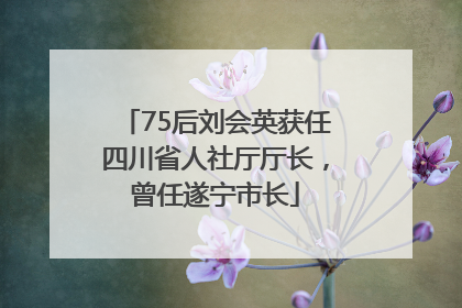 75后刘会英获任四川省人社厅厅长，曾任遂宁市长