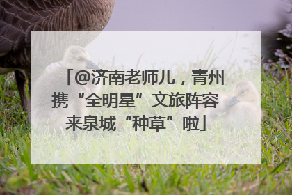 @济南老师儿，青州携“全明星”文旅阵容来泉城“种草”啦