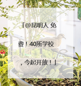 @昆明人 免费！40所学校，今起开放！