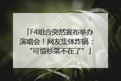F4组合突然宣布举办演唱会！网友集体炸锅：“可惜杉菜不在了”
