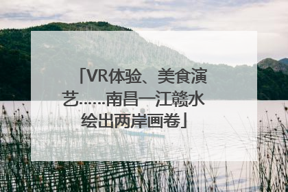 VR体验、美食演艺……南昌一江赣水绘出两岸画卷